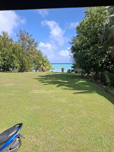 Photo from customer review